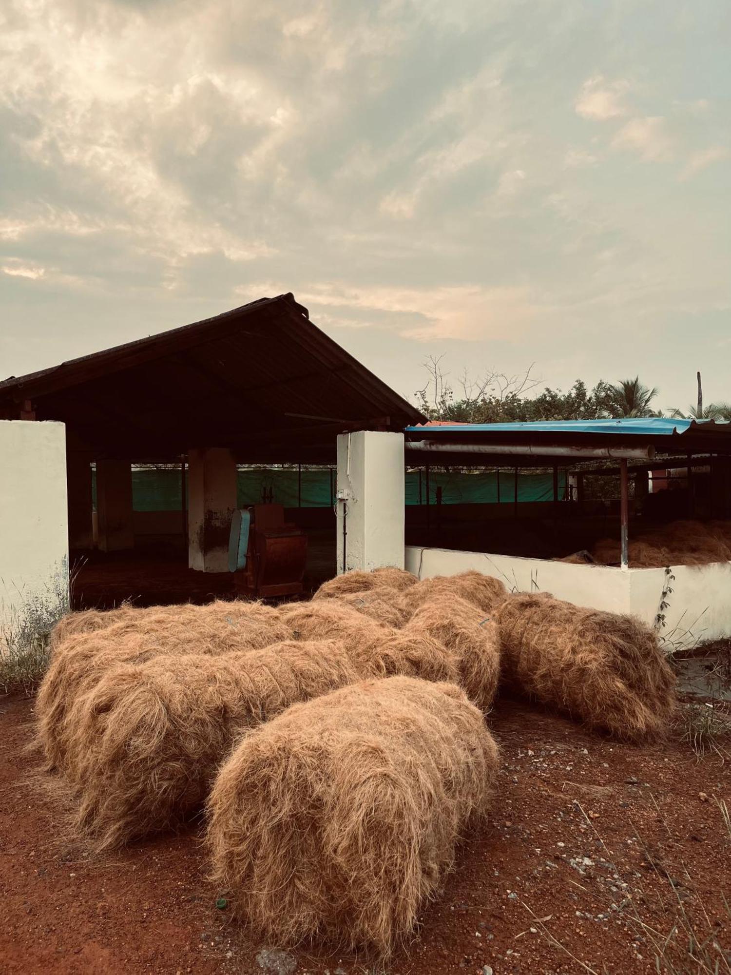 Riverrootsstays Mundrothuruth Buitenkant foto